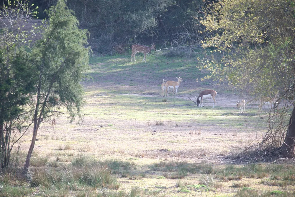 County Road 412 Lexington, TX 78947