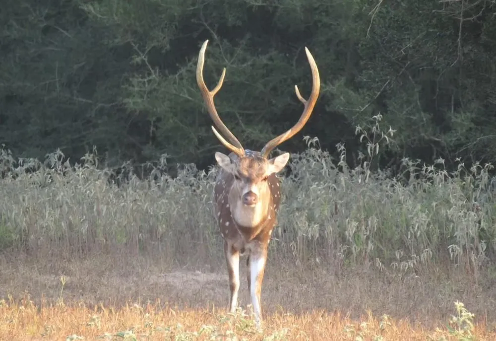 County Road 412 Lexington, TX 78947