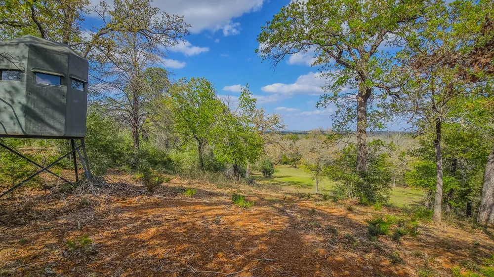 County Road 412 Lexington, TX 78947