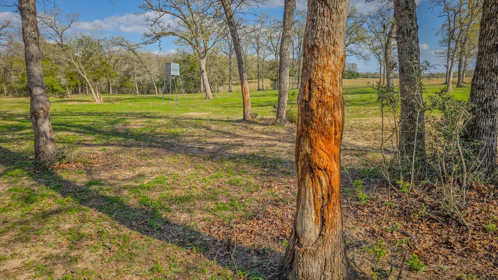 County Road 412 Lexington, TX 78947