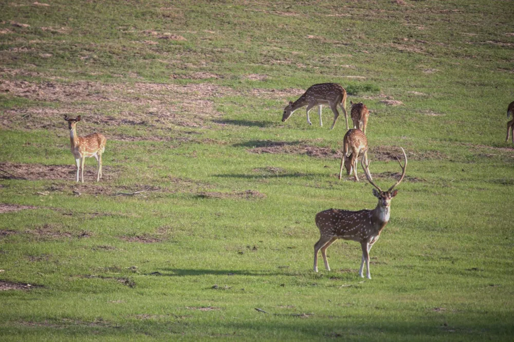 County Road 412 Lexington, TX 78947