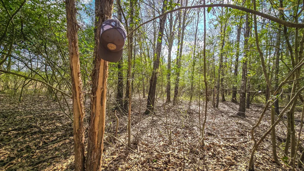 County Road 412 Lexington, TX 78947