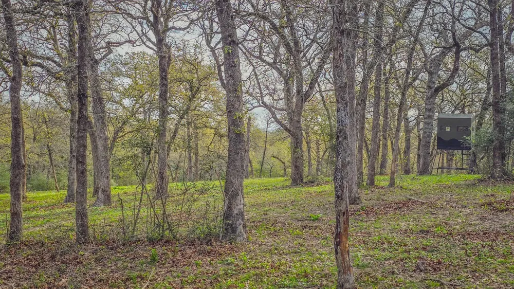County Road 412 Lexington, TX 78947