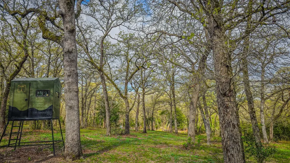 County Road 412 Lexington, TX 78947