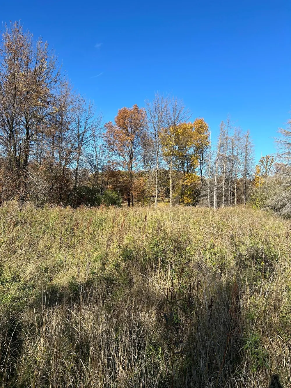 XXX Riverbend Drive Warroad, MN 56763