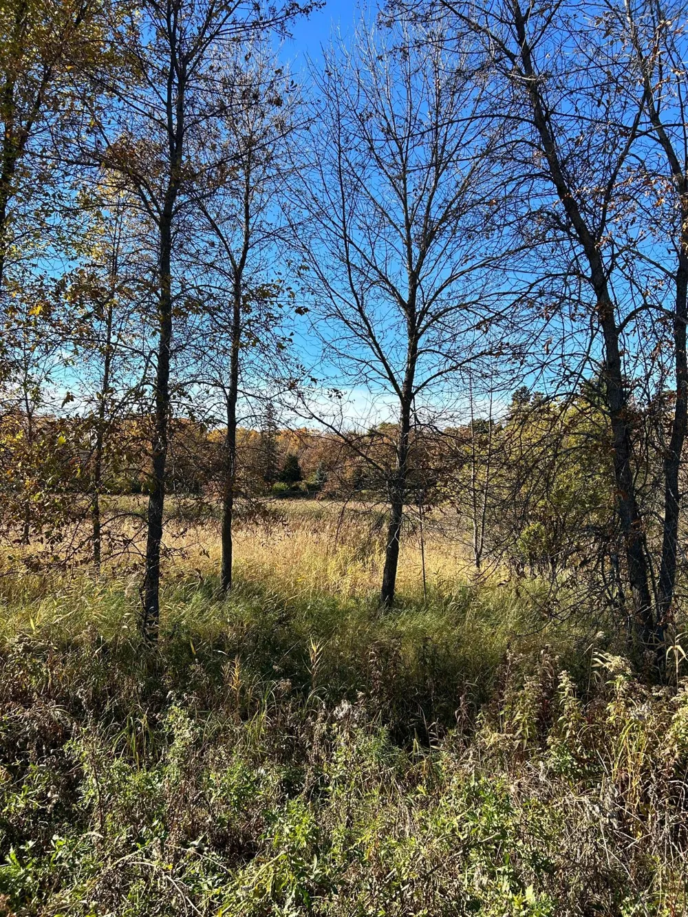 XXX Riverbend Drive Warroad, MN 56763