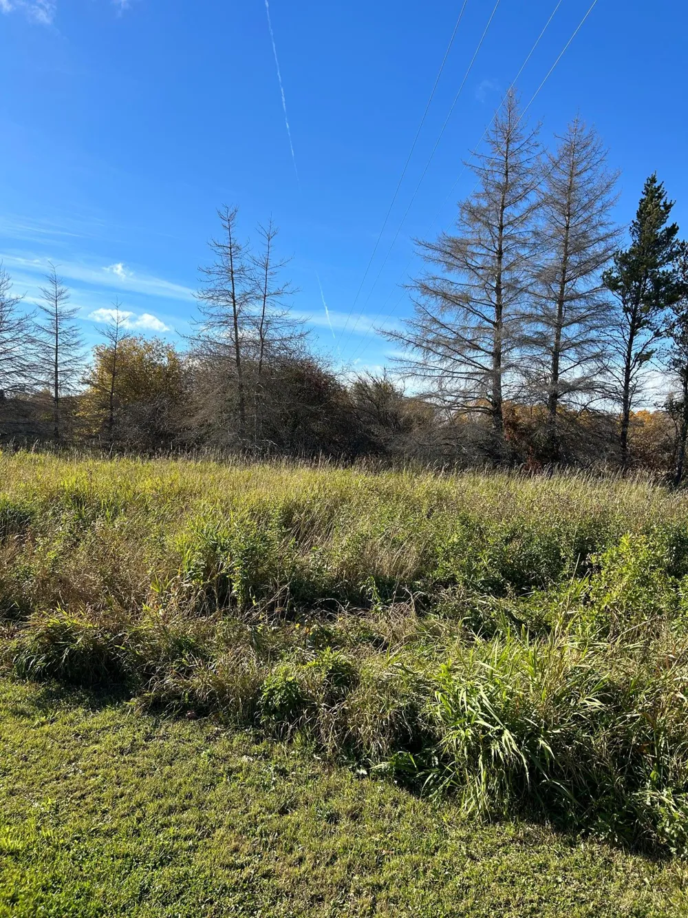 000 Riverbend Drive Warroad, MN 56763