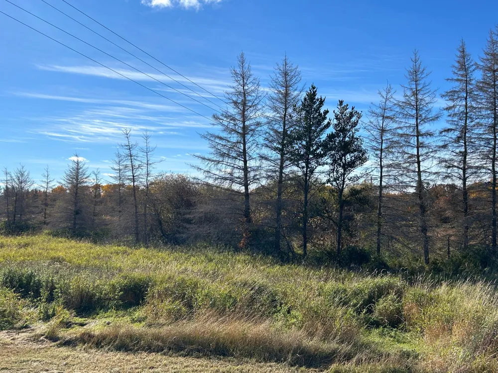 000 Riverbend Drive Warroad, MN 56763