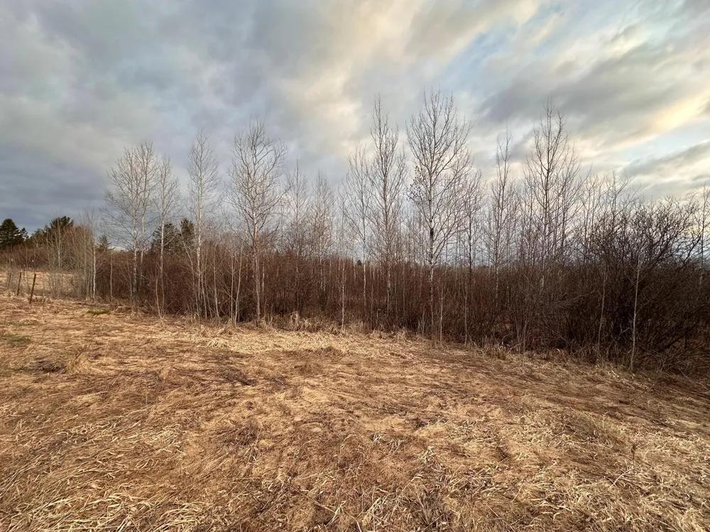 4445 E County Rd C Superior, WI 54880