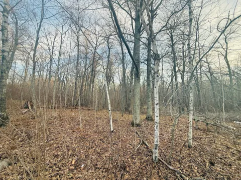 TBD Ringneck Roost