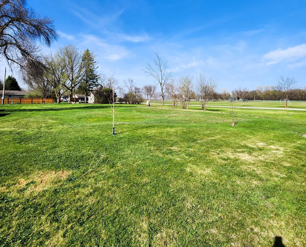602 E Willow Avenue Olivia, MN 56277