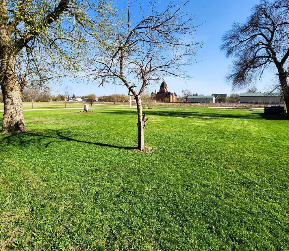 602 E Willow Avenue Olivia, MN 56277