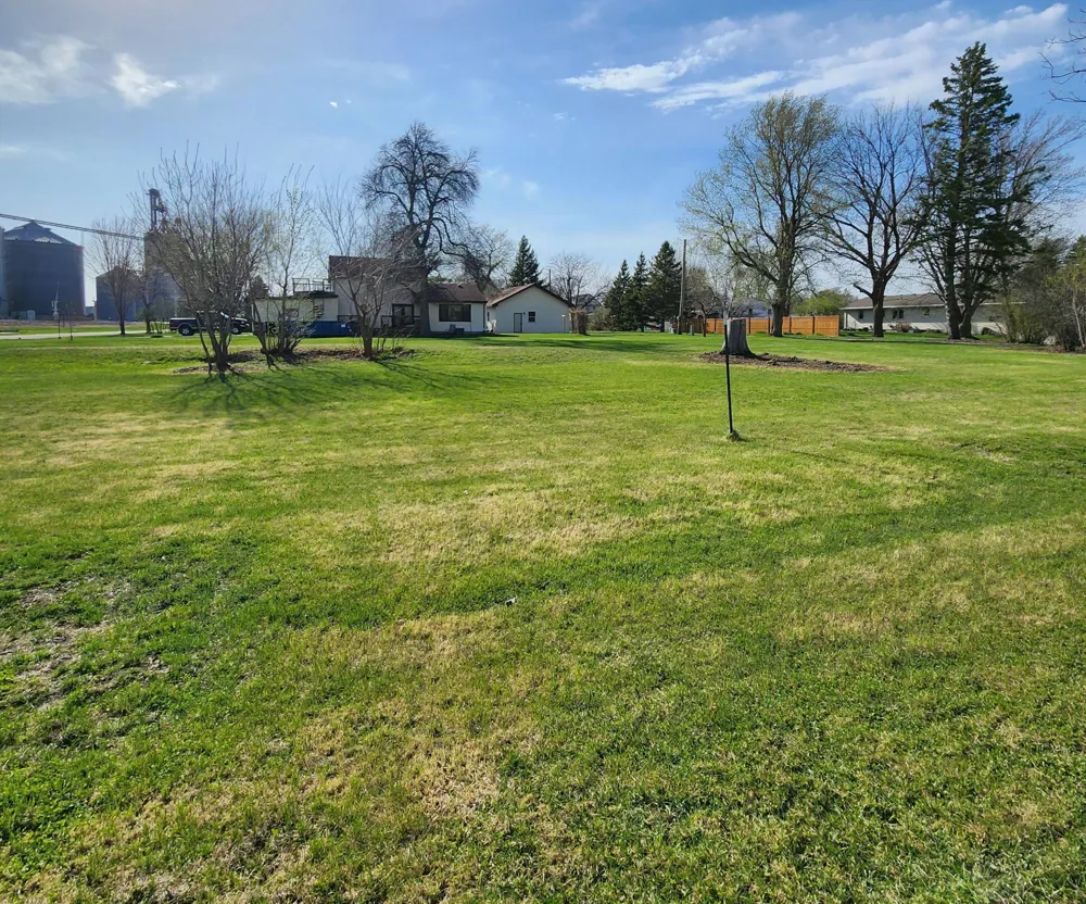 602 E Willow Avenue Olivia, MN 56277