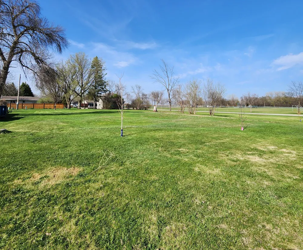 602 E Willow Avenue Olivia, MN 56277