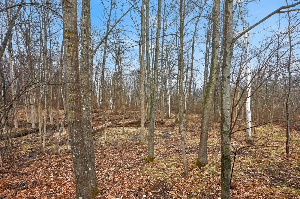 8092 Dakota Court SW Motley, MN 56466
