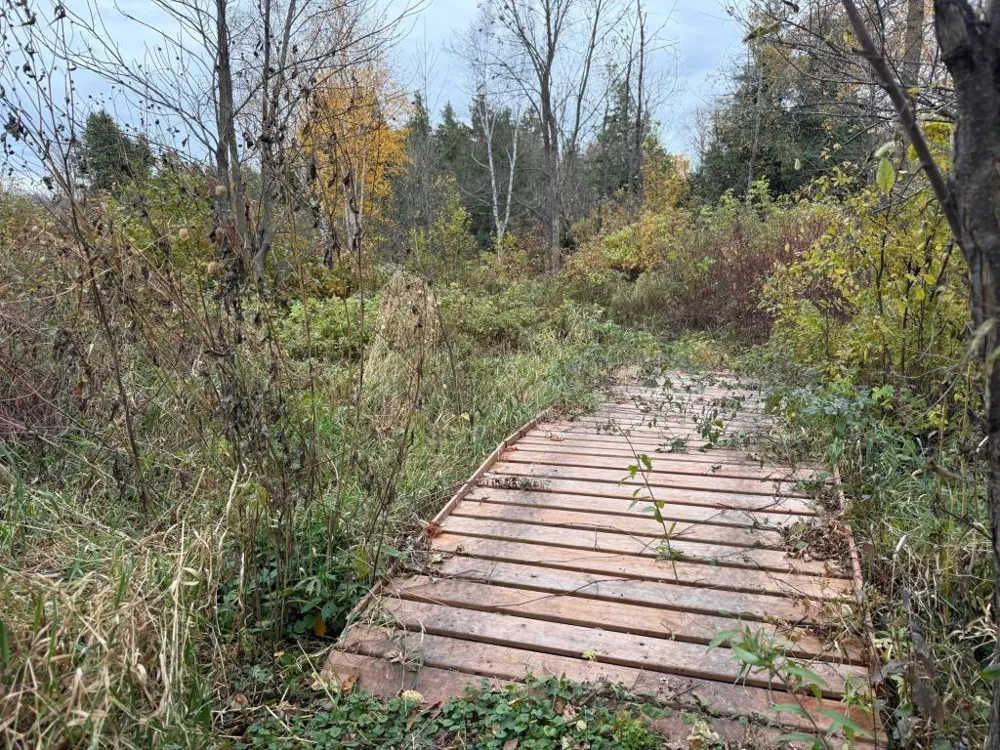 22880 Sunny Beach Road NE Kelliher, MN 56650