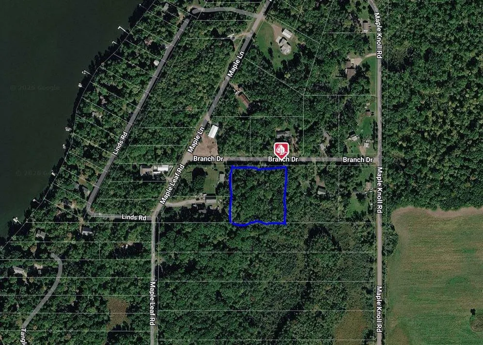 TBD Branch Drive Pine City, MN 55063