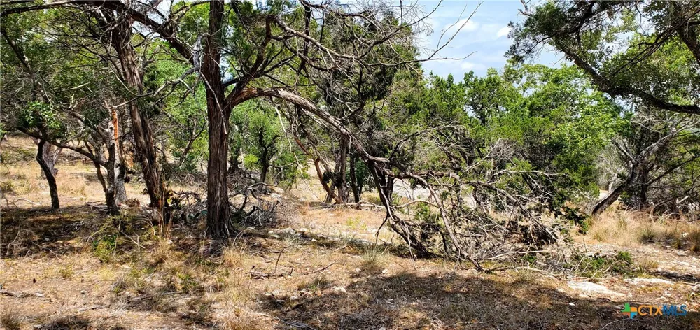 North Park Road Canyon Lake, TX 78133