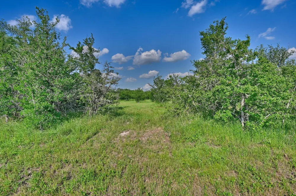 Lange Rd Ledbetter, TX 78946