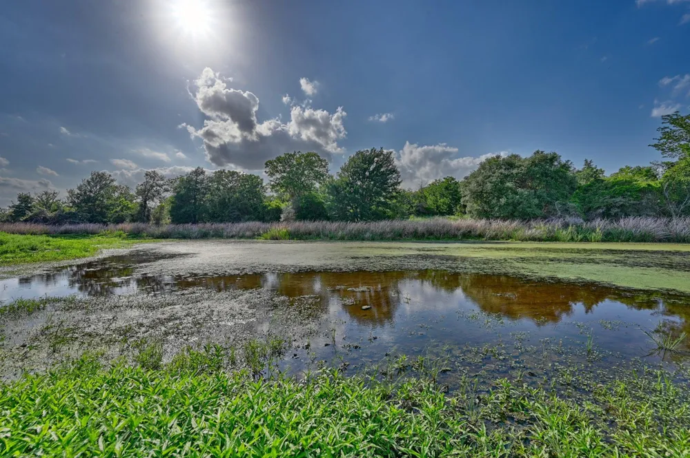 Lange Rd Ledbetter, TX 78946