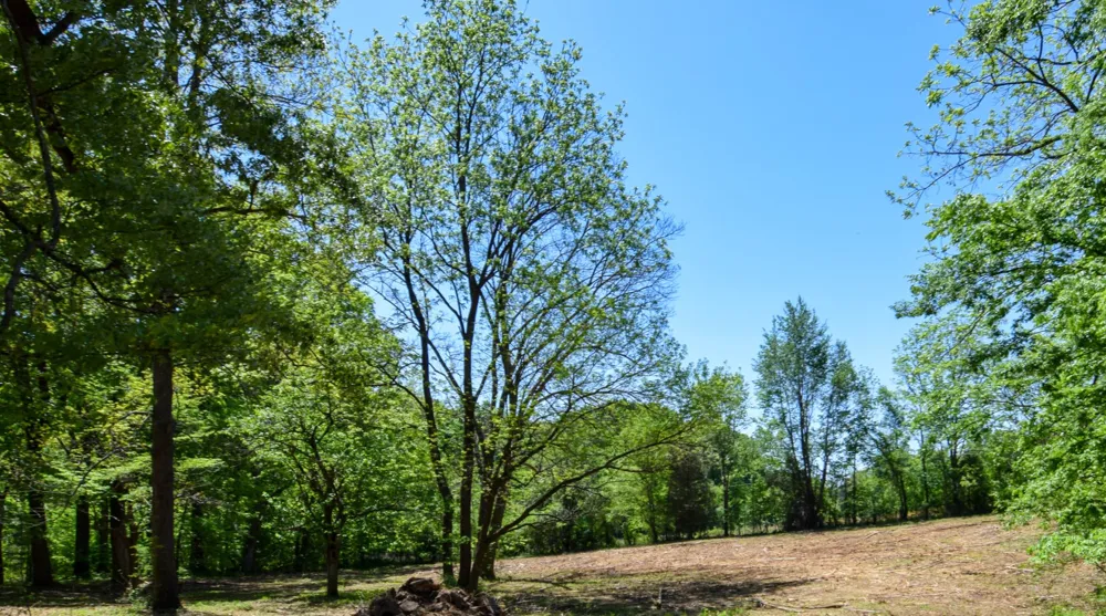 430 South Rd Cottontown, TN 37048