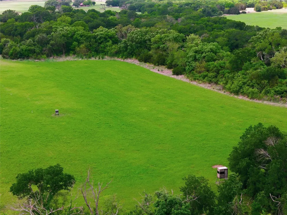 Camp Branch Rd Gatesville, TX 76526