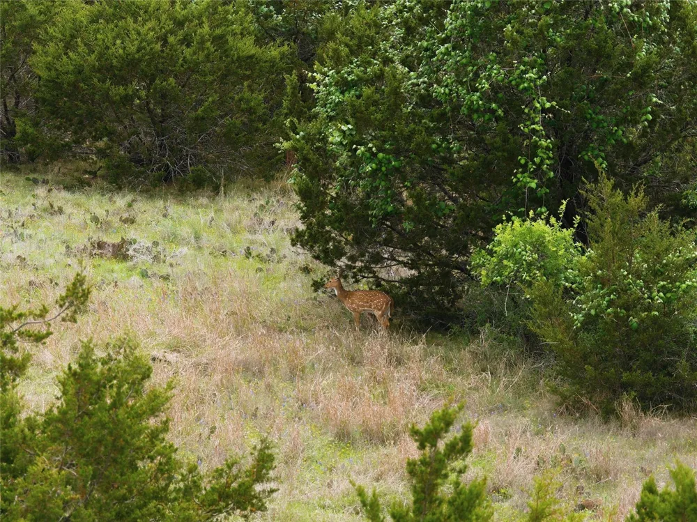 Camp Branch Rd Gatesville, TX 76526