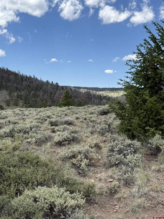151 Trailridge Trail Powderhorn, CO 81230