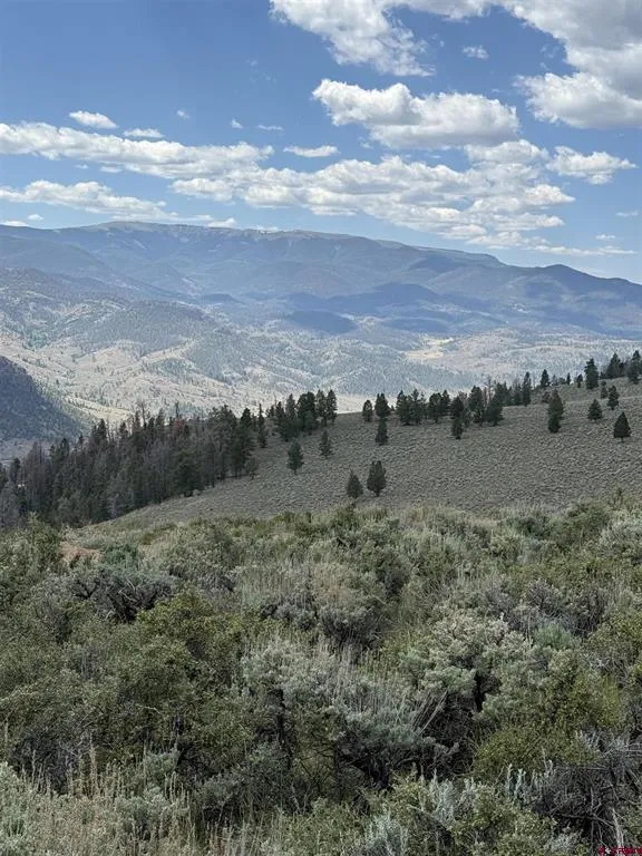 151 Trailridge Trail Powderhorn, CO 81230