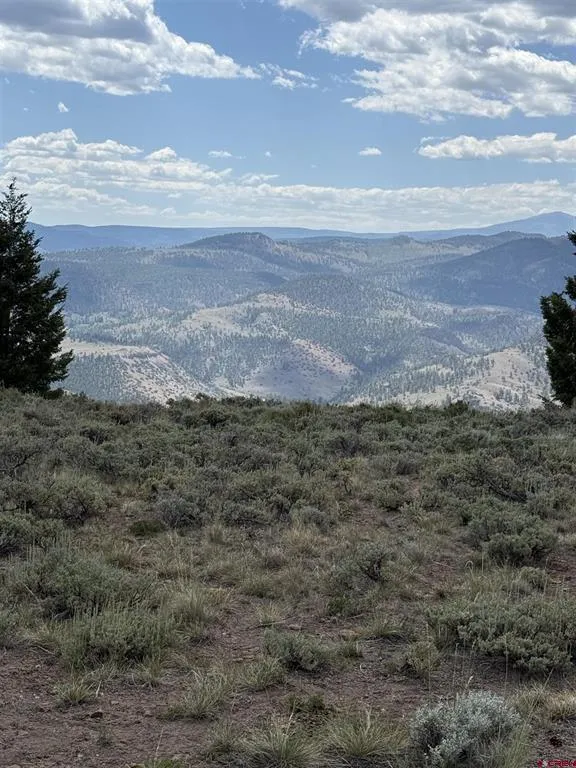 151 Trailridge Trail Powderhorn, CO 81230