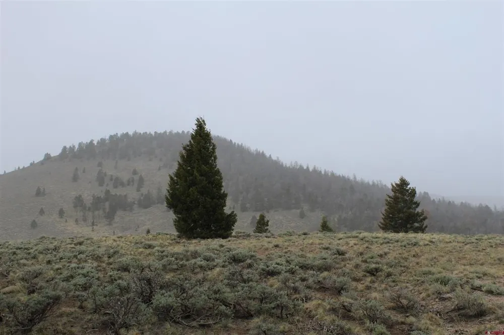 151 Trailridge Trail Powderhorn, CO 81230