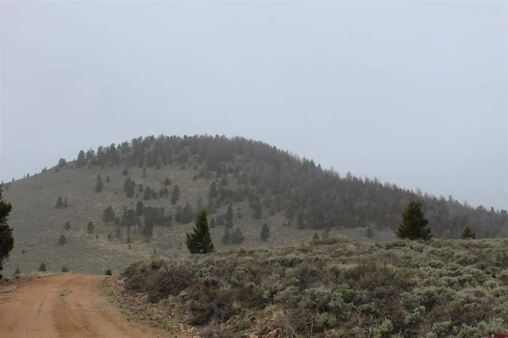 151 Trailridge Trail Powderhorn, CO 81230