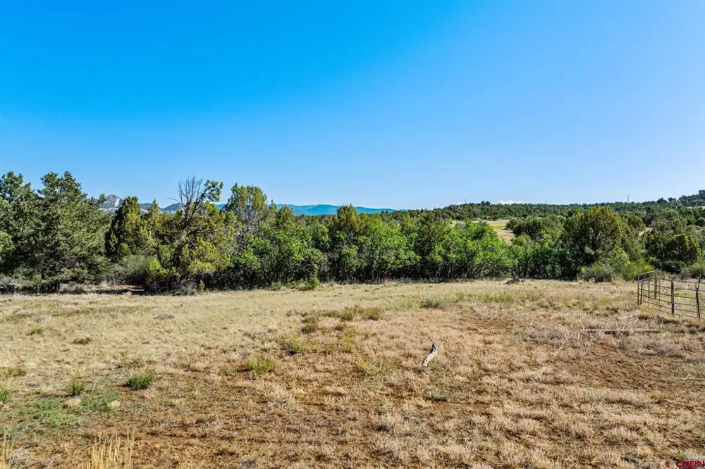 569 CR 233 Durango, CO 81301