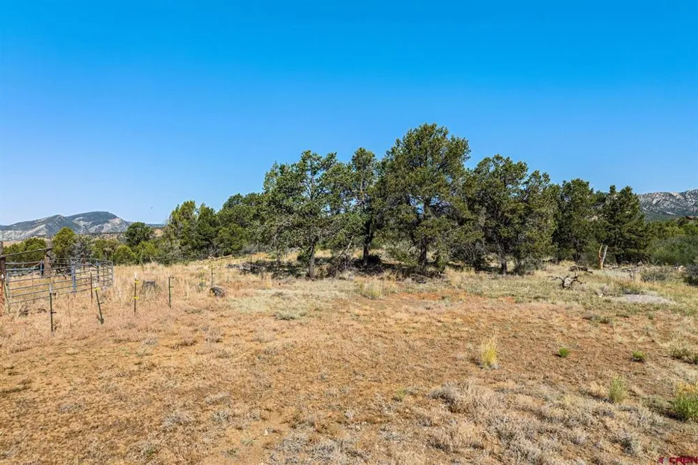 569 CR 233 Durango, CO 81301