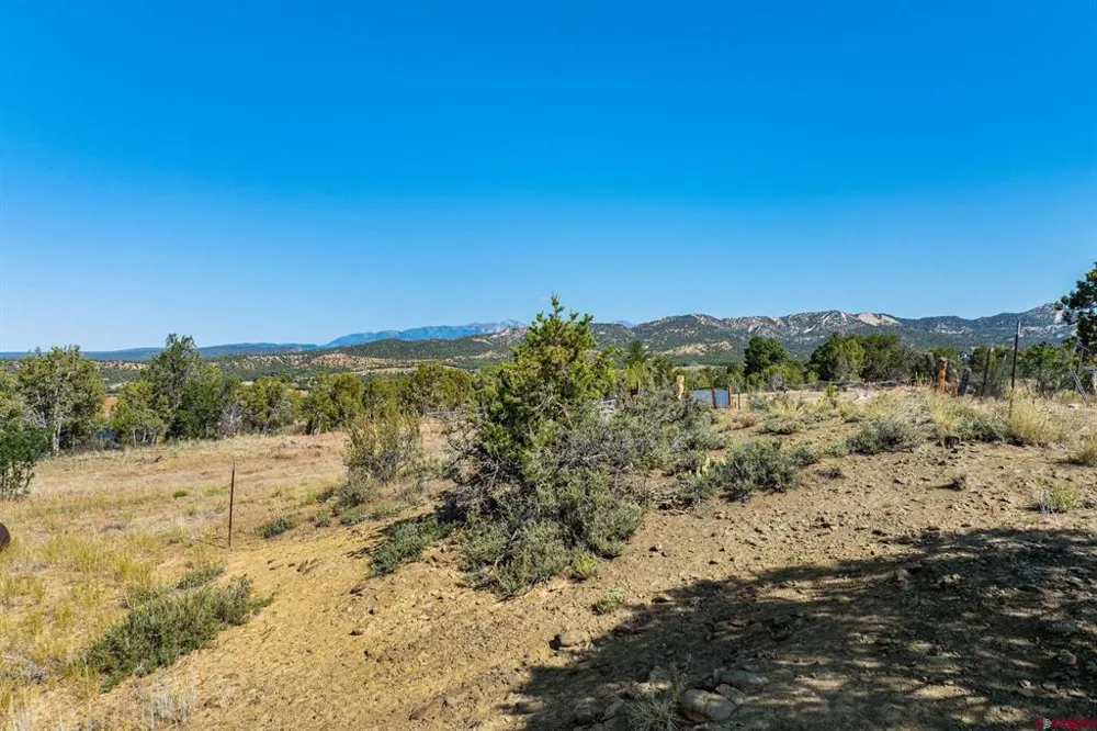 569 CR 233 Durango, CO 81301