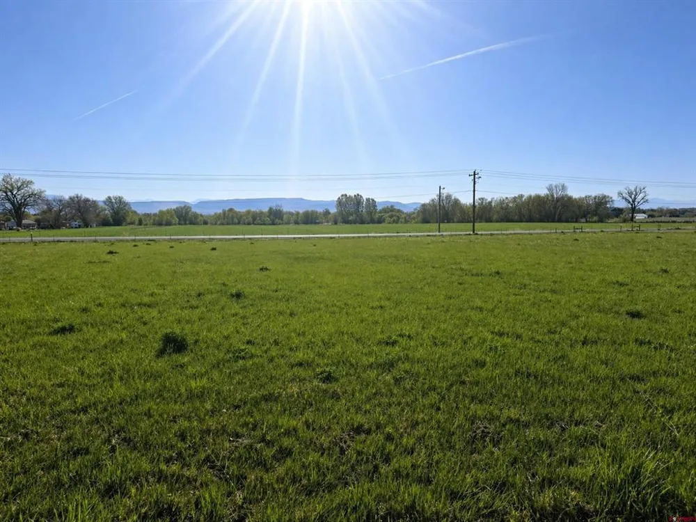 2357 5500 ROAD Delta, CO 81416