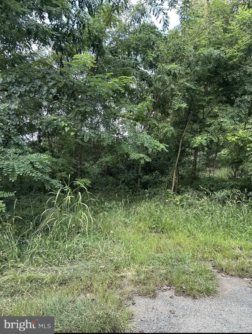 129 BOWLER LANE Orange, VA 22960