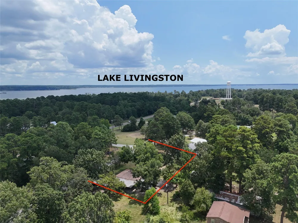 305 Oak Ridge Drive Onalaska, TX 77360
