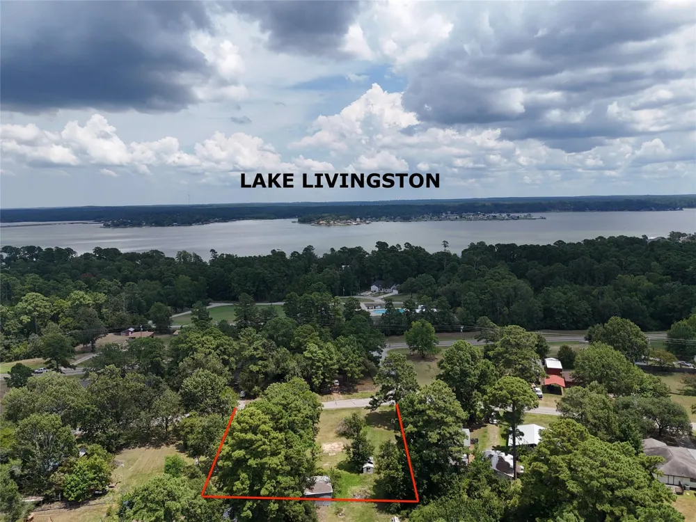 305 Oak Ridge Drive Onalaska, TX 77360