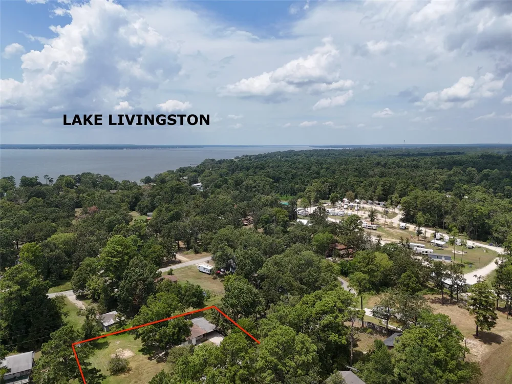 305 Oak Ridge Drive Onalaska, TX 77360