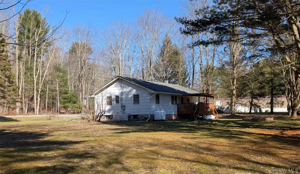 47 Forman Road Cochecton, NY 12726
