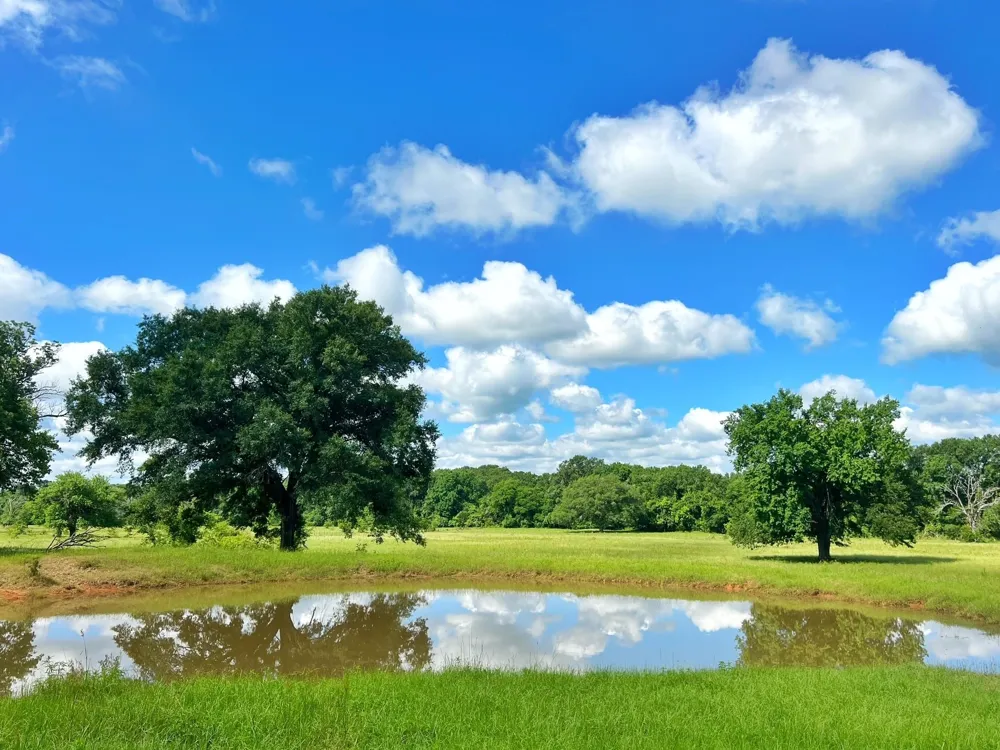 78 Cr 1080 Fairfield, TX 75840