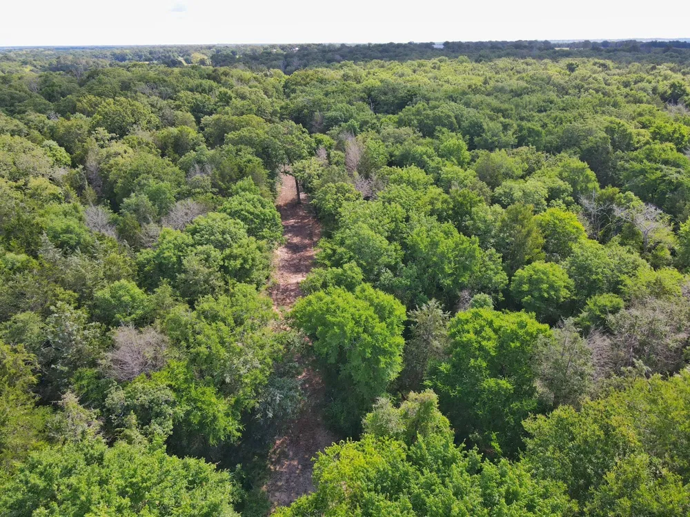 78 Cr 1080 Fairfield, TX 75840