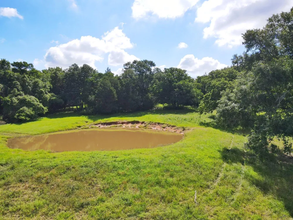 78 Cr 1080 Fairfield, TX 75840