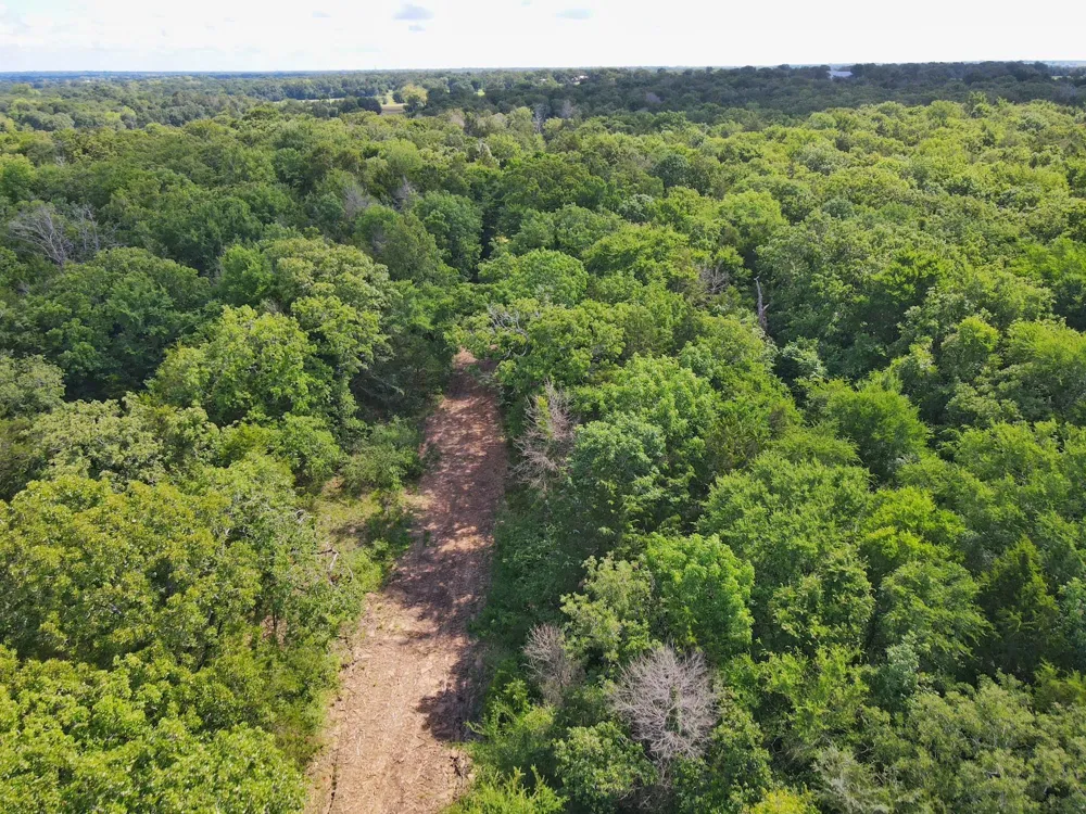 78 Cr 1080 Fairfield, TX 75840