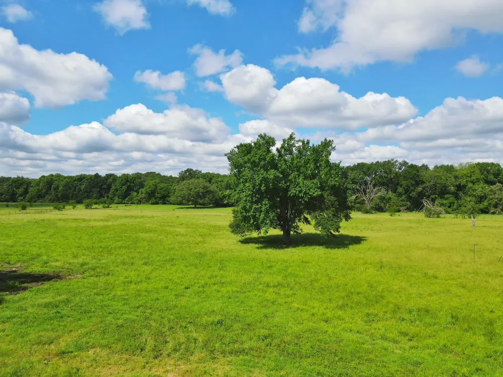 78 Cr 1080 Fairfield, TX 75840