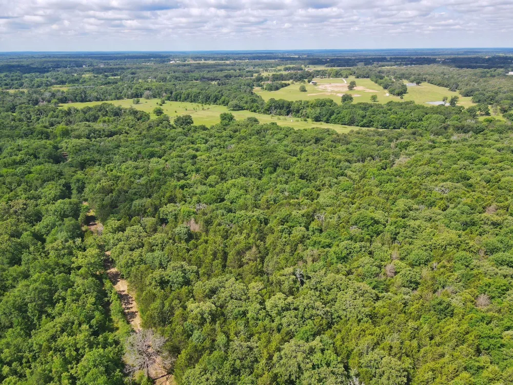 78 Cr 1080 Fairfield, TX 75840