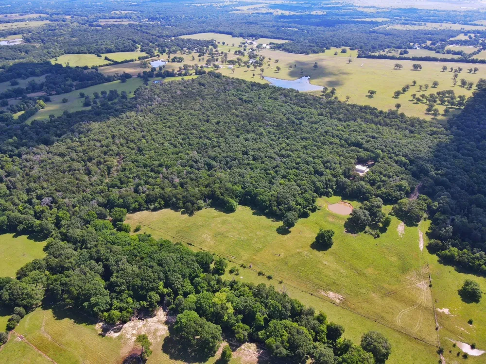 78 Cr 1080 Fairfield, TX 75840
