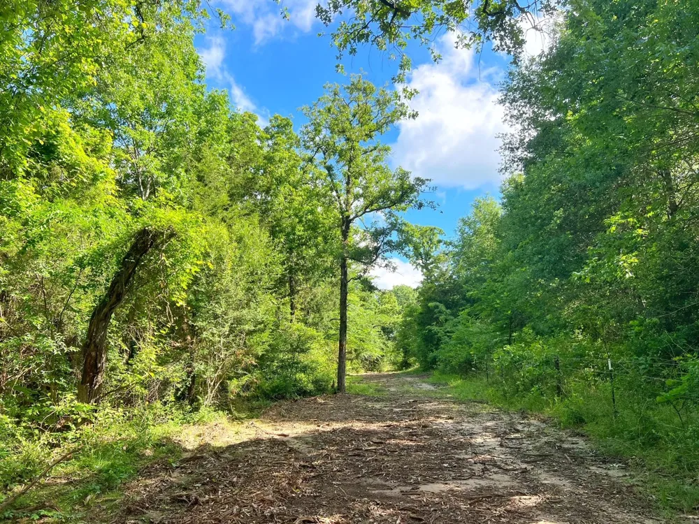78 Cr 1080 Fairfield, TX 75840
