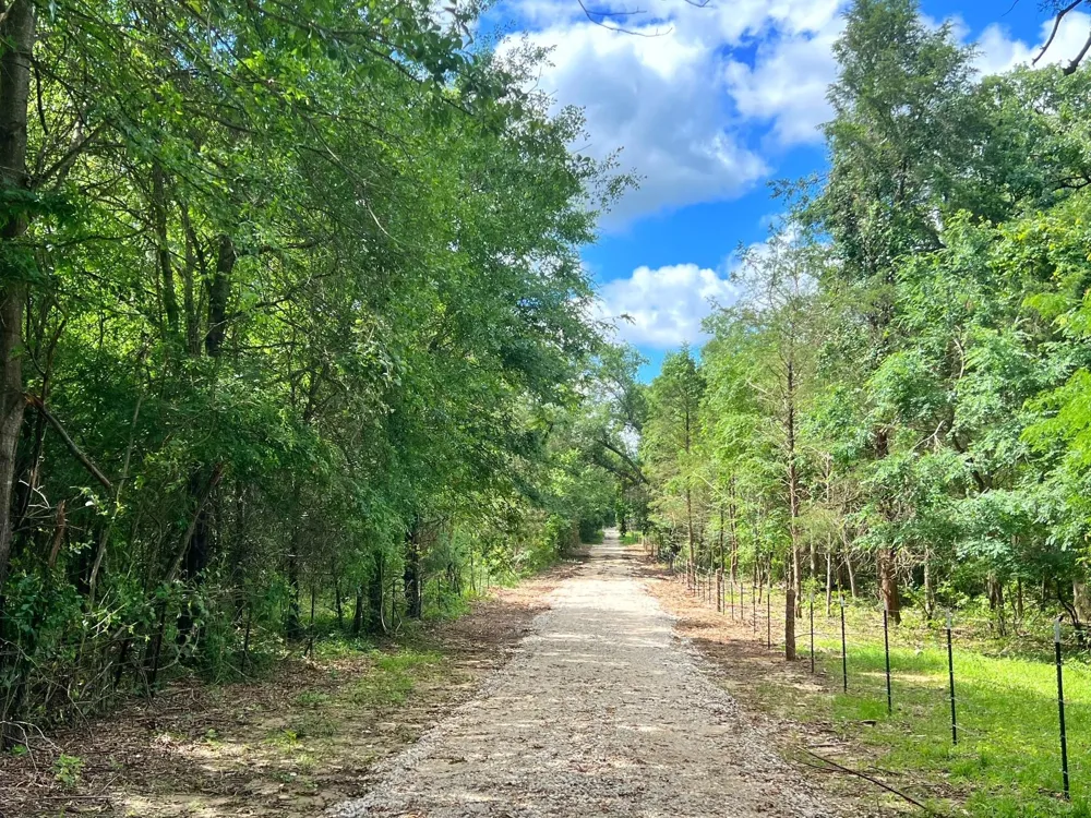 78 Cr 1080 Fairfield, TX 75840